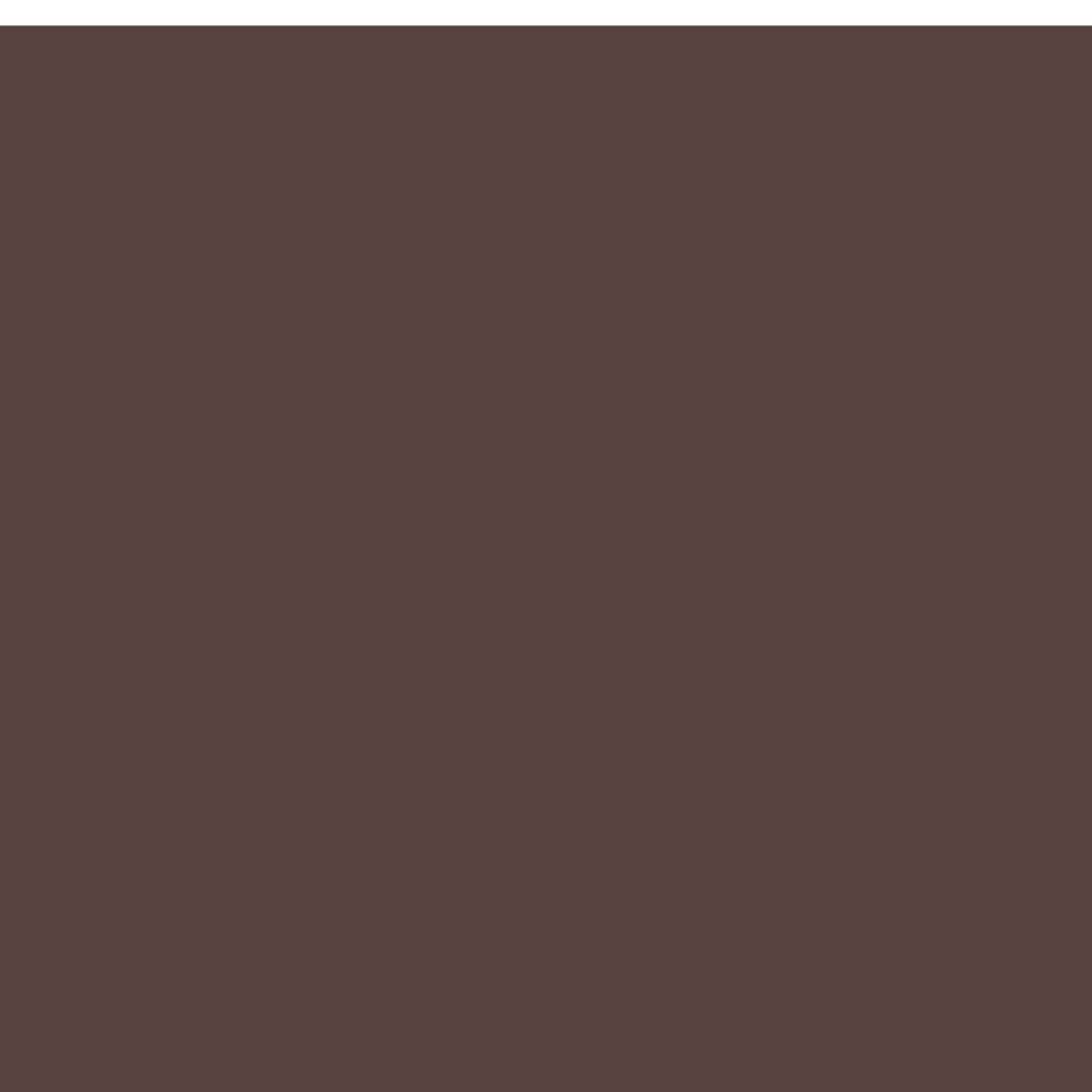The Elle Satin Button-Down Shirt | Chocolate